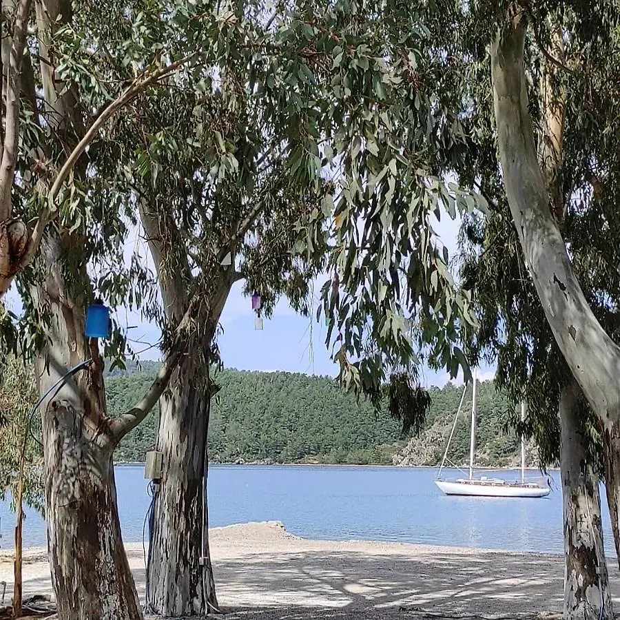Esin'S Houses Villa Marmaris