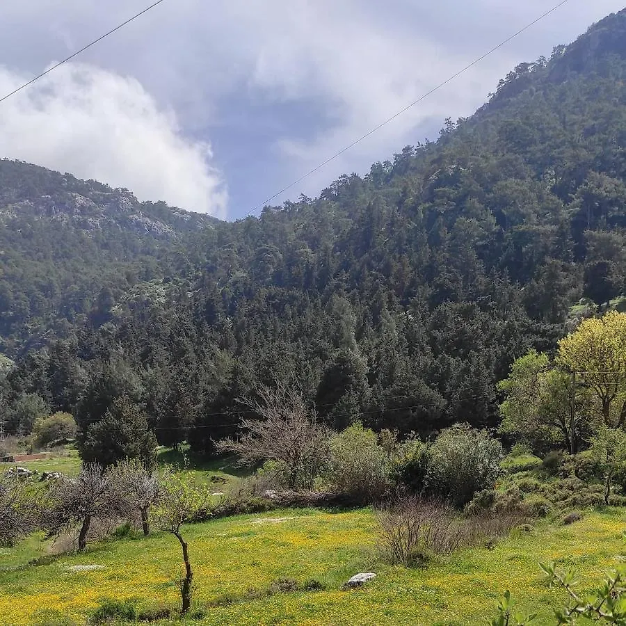 فيلا مرمريسفي Esin'S Houses تركيا