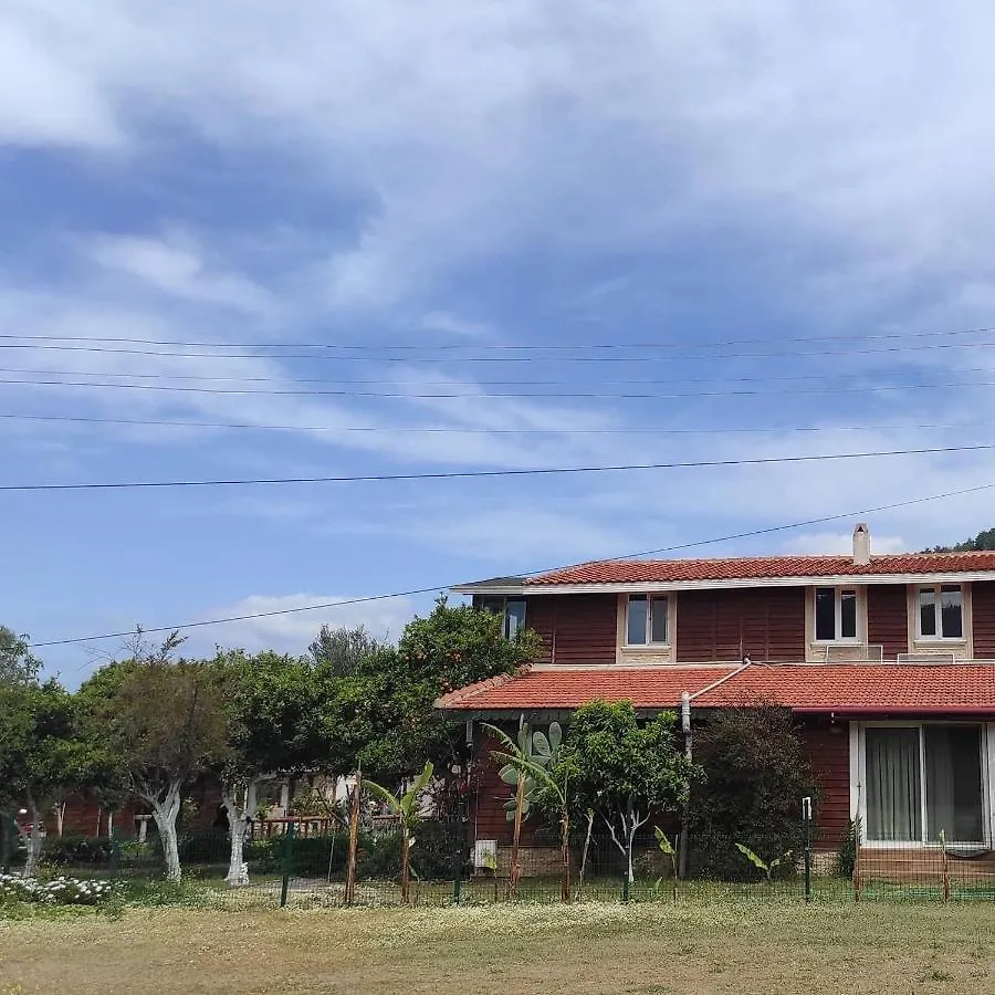 بيت للعطل فيلا مرمريسفي Esin'S Houses تركيا